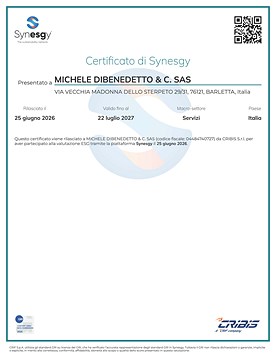 Dibenedetto - Certificato di Synesgy